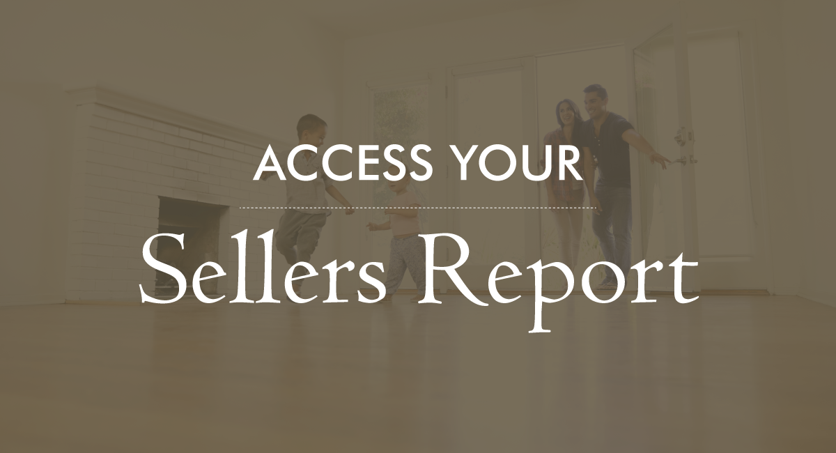 Access Your Sellers Report